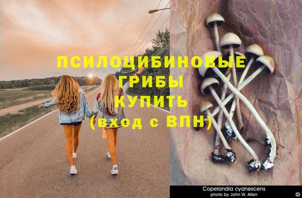 MDMA Волоколамск